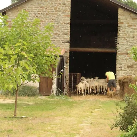 Beb La Bergera * Cessole